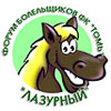 Зимний турнир "Футбольная масленица-2007". Зимний турнир "Футбольная масленица-2007".